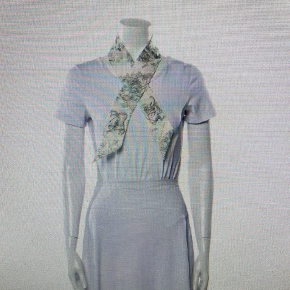 🌟trade🌟DIOR Toile De Jouy Mitzah Twilly - Picture 9 of 9